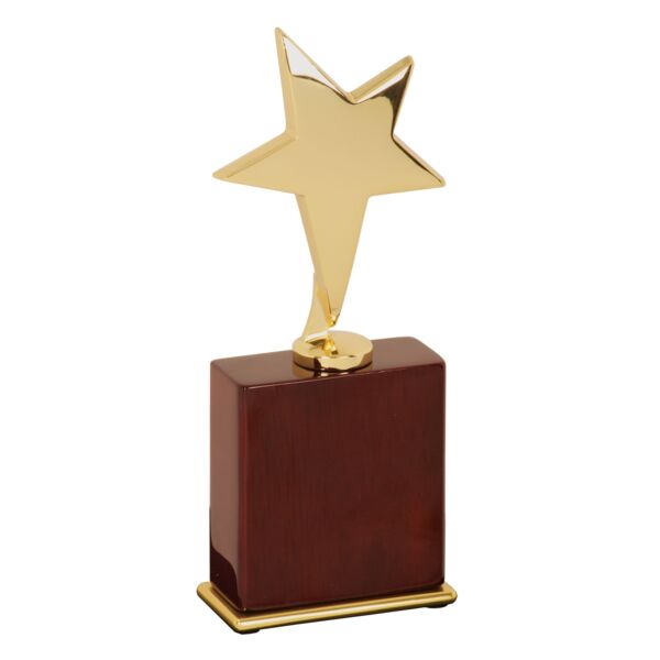 7 1/2" Star Award on Piano Finish Base Thumbnail
