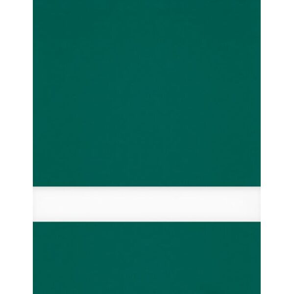 24" x 49" x 1/16" Evergreen/ Matte Laser XT Plastic Thumbnail