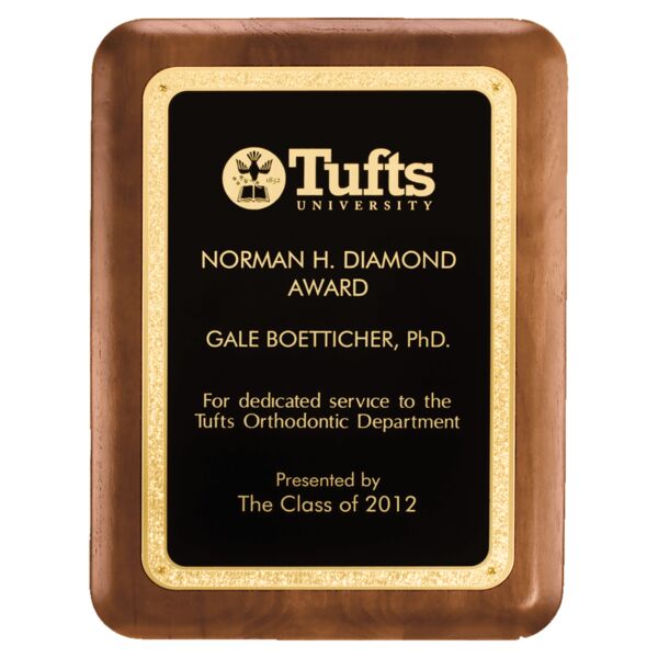 9" x 12" American Plaque with Textured LaserFX plate with Florentine Border Thumbnail