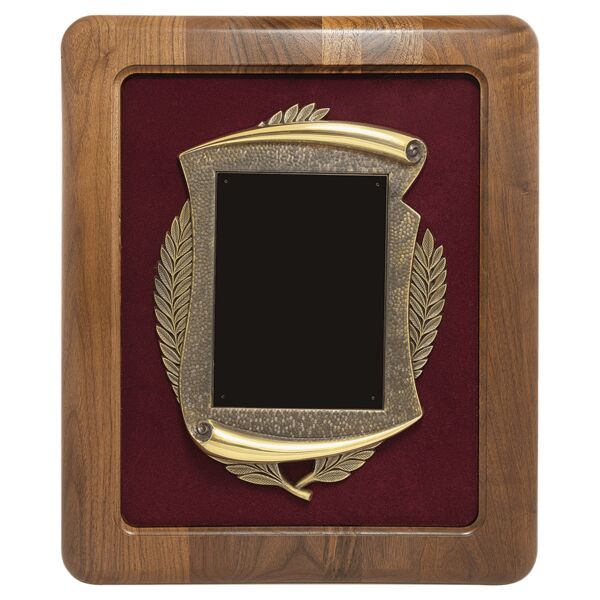 14" x 17" American Frame w/ Velour Back/ Finish Frame/ Brass Plate Thumbnail