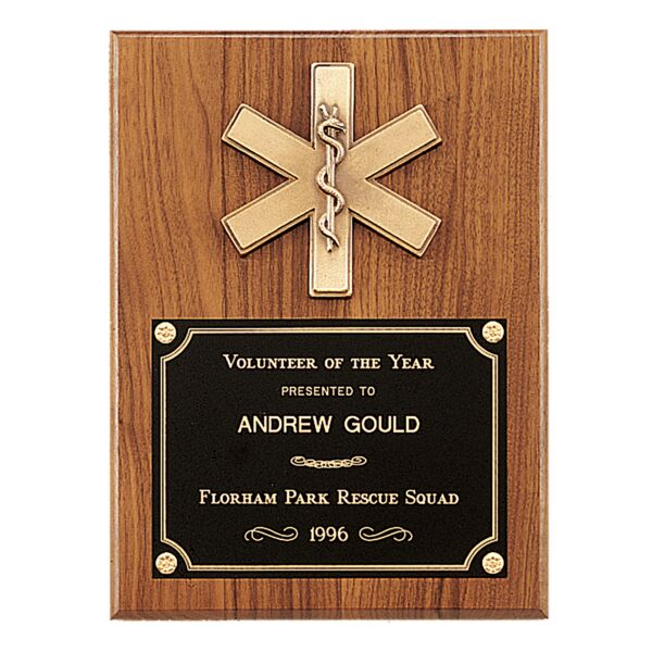 9" x 12" Plaque with EMT Star of Life and Brass Plate Thumbnail