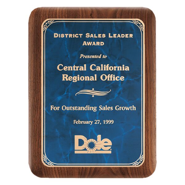 7" X 9" American Plaque with Border Sapphire Marble LaserFX Plate Thumbnail