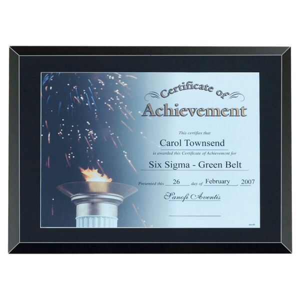 11" x 14"-holds 8 1/2" x 11" Glass Certificate Plaque with Easy Open and Close Backing Thumbnail