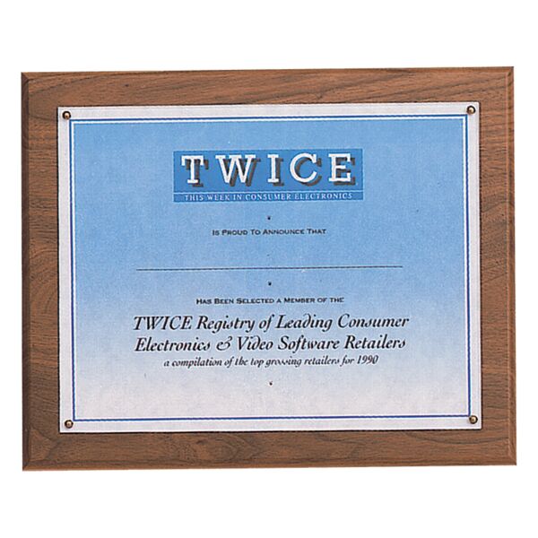 10 1/2" x 13- Holds 8 1/2" x 11" Solid Certificate Plaque with Plexiglass Cover Thumbnail