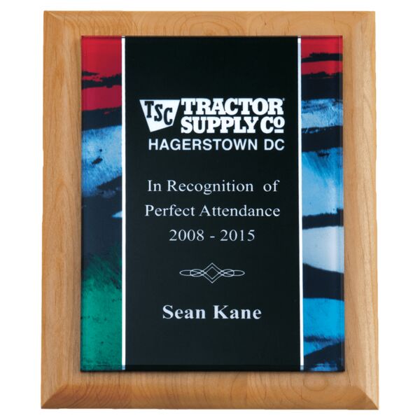 9" x 12" Airflyte Natural Plaque with Stained Glass Border Acrylic Plate Thumbnail