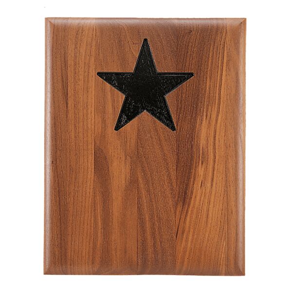 9" x 12" American Plaque With Star Recess Thumbnail