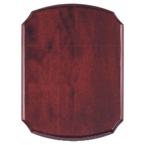 11" x 15" Airflyte Piano Finish Plaque Thumbnail