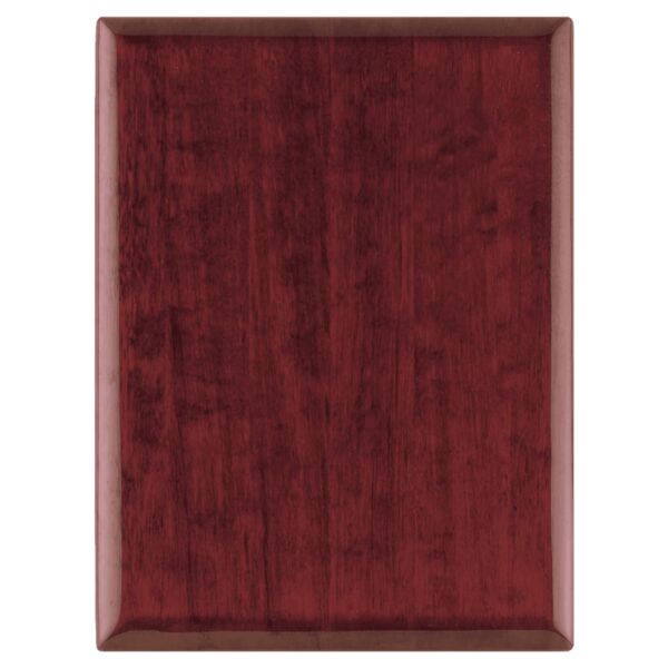 11" x 14" Airflyte Piano Finish Plaque Thumbnail