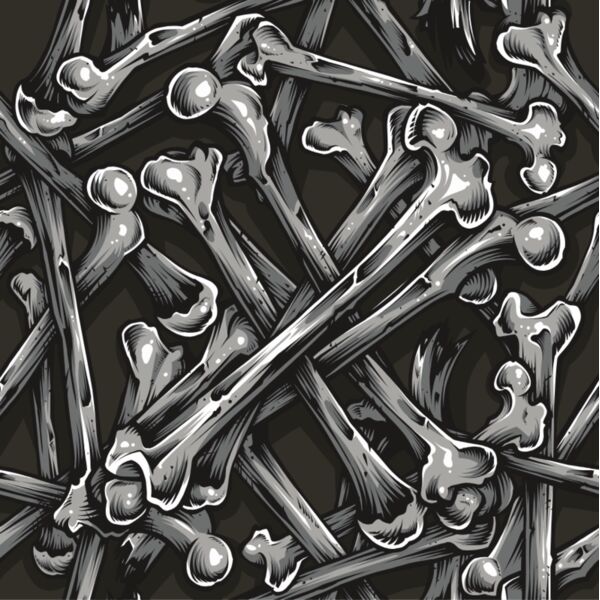 BonePattern 1 Thumbnail